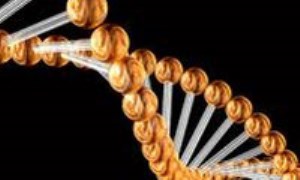DNA دیرین یک راز جدید را مطرح می‌سازد