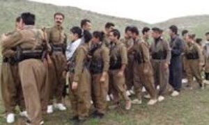 جامعه و سياست در كردستان