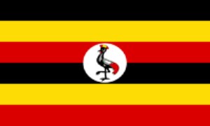 اوگاندا: UGANDA (.ug)