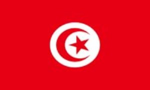 تونس: TUNISIA (.tn)