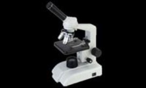 مقایسه میکروسکوپ نوری با میکروسکوپ الکترونی