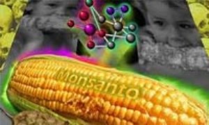 مهندسی ژنتیک در مواد غذایی