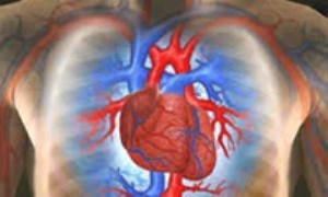 نقش روان شناسی در بهبود بیماری عروق كرونر قلبی