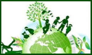 نقش سازمان های غیردولتی در پایداری محیط زیست 