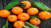 خواص نارنگی یافا برای سلامتی