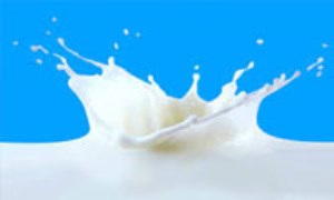 اثر کیفیت شیر خام بر کیفیت فرآورده‌های حاصل از آن