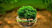 چند راهکار ساده برای حفاظت از محیط زیست