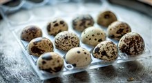 با خواص تخم بلدرچین برای سلامتی آشنا شوید