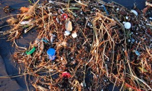 آلودگی ‌های ناشی از پلاستیک علاوه بر آسیب به ماهی‌ها، تنفس انسان را نیز مختل می‌کنند