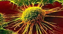 داروهایی که سرطان‌ها را برای سیستم ایمنی بدن آشکار می‌کنند