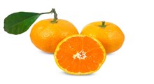 انواع دسر با نارنگی