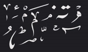 برخی هنجارهای كاربرد واژگان عربی در زبان فارسی (2)