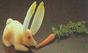 خرگوش جیکاما (شلغم مکزیکی)