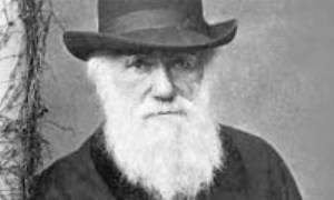 داروین، چارلز رابرت