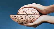 آتروفی مغزی و آنچه باید درباره آن بدانید
