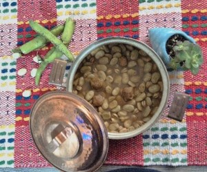 طرز تهیه غذای محلی باقالا پخته (گیلانی)