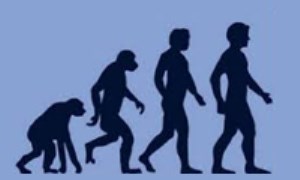 شواهد نظریه‏ی تکامل: الگوهای زمانی و مکانی