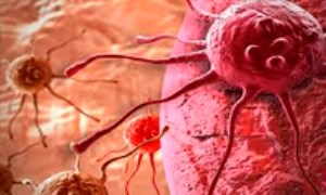 آنکوژن های سلولی و نقش آن ها در سرطان (2)