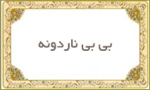 بی بی ناردونه