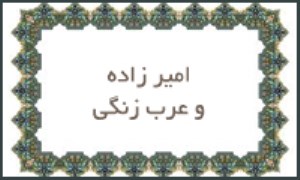 امیرزاده و عرب زنگی