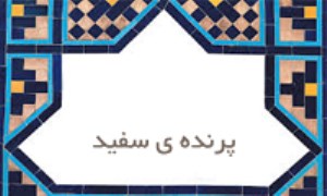  پرنده‌ی سفید