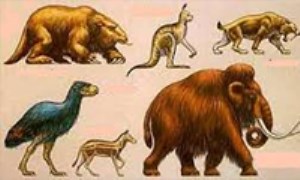 چگونگی پیدایش گونه‌ها
