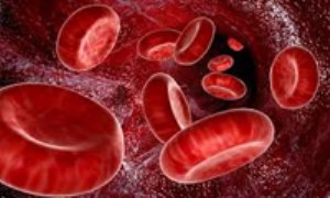 چگونگی تشکیل سلول های خونی در بدن ما