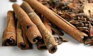 دارچــــيــــن(Cinnamon)