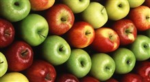 اطلاعاتی جالب در مورد تنوع سیب‌ها و خاستگاه آنها – قسمت دوم