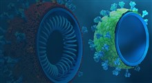 ذرات شبه ویروس: نقش آن ها به عنوان نانو واکسن ها و نانوحامل های دارویی