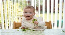 آیا استفاده از روش BLW برای تغذیه کودک از شیر گرفته شده مناسب تمام کودکان است؟