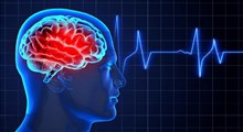مهم‌ترین بیماری های مغز و اعصاب که باید بشناسید