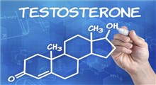 مواد غذایی مفید برای افزایش تستوسترون