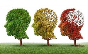 توصیه‌هایی برای ارتباط با بیماران آلزایمر (زوال عقل)