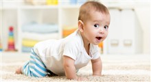 نوزادان چه زمان شروع به چهار دست و پا راه رفتن می کنند؟