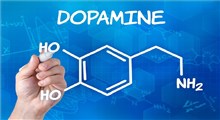 راه کار هایی برای بالا بردن دوپامین مغز