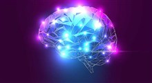 روش های افزایش عملکرد شناختی مغز