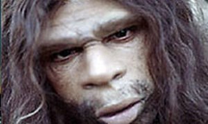 نئاندرتال ها Neanderthals 