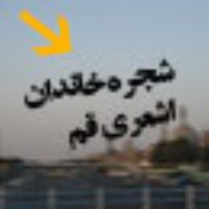 شجره علمى خاندان اشعرى قم (1)