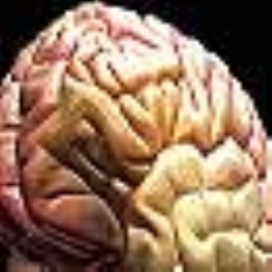 تاثیر عوامل زيستي در مغز زنان و مردان 