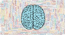 بررسی رابطه یادگیری زبان خارجی با کاهش زوال عقل