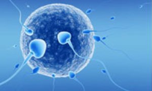 اولين فرزند IVF