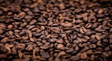 آیا می‌دانید طبع قهوه چگونه است؟