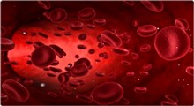 چه مقدار خون در بدن انسان وجود دارد