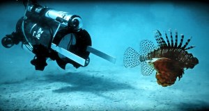 شکار شیر ماهی توسط نوعی ربات زیردریایی