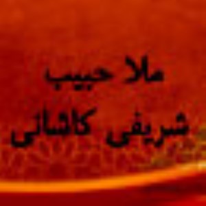 رساله اى از آخوند ملاحبيب الله شريف كاشانى (ره)