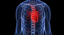 به چه علتی تپش قلب ایجاد می شود؟  درمان تپش قلب