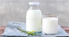 آیا می‌دانید طبع شیر چیست؟