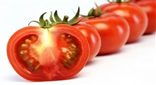 آشنایی با خواص گوجه فرنگی برای لاغری