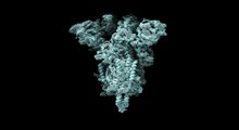 مهندسی پروتئین با استفاده از یادگیری ماشین